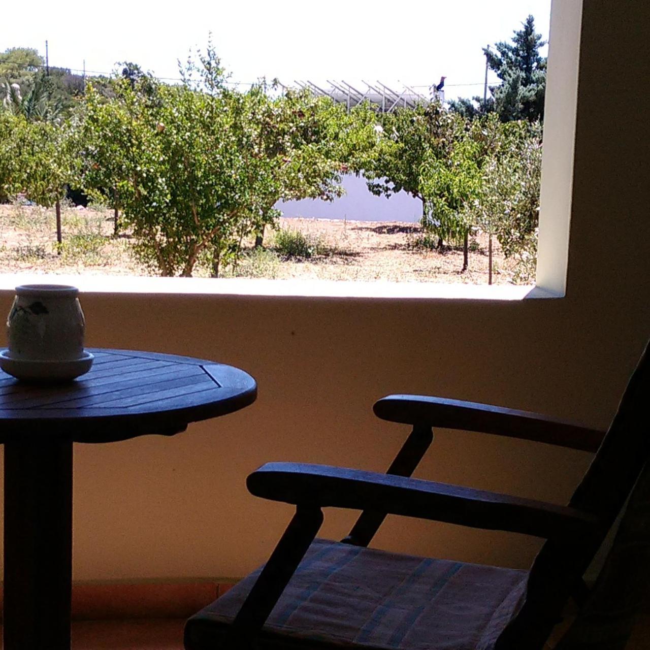 Vilana Studios Kalamos  Dış mekan fotoğraf