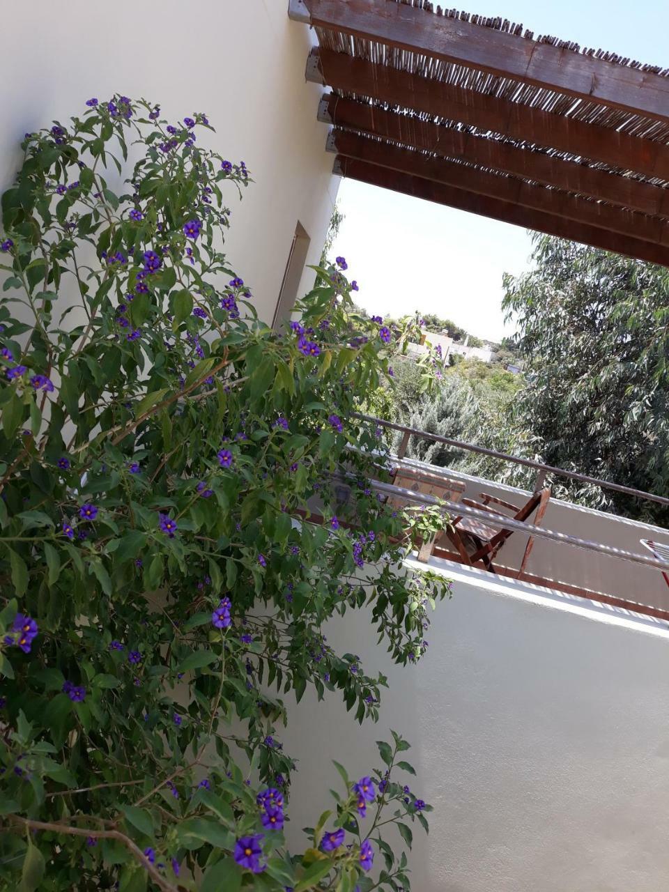 Vilana Studios Kalamos  Dış mekan fotoğraf