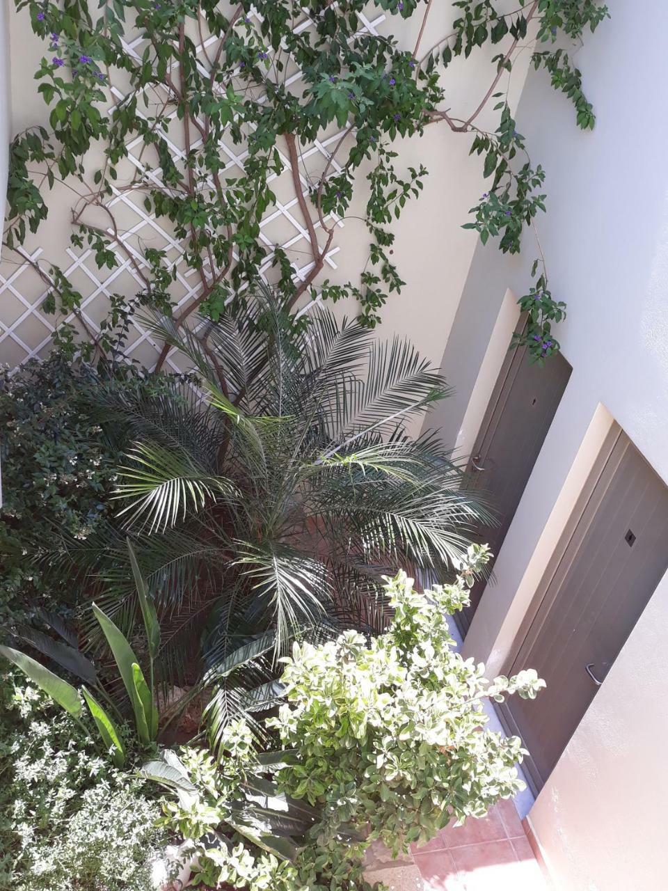 Vilana Studios Kalamos  Dış mekan fotoğraf